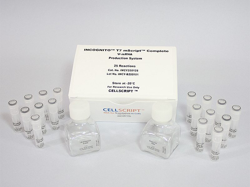 CELLSCRIPT INCOGNITO T7 mScript Complete Psi mRNA Production System