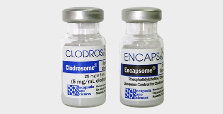 Standard Macrophage Depletion Kit（Clodrosome + Encapsome）