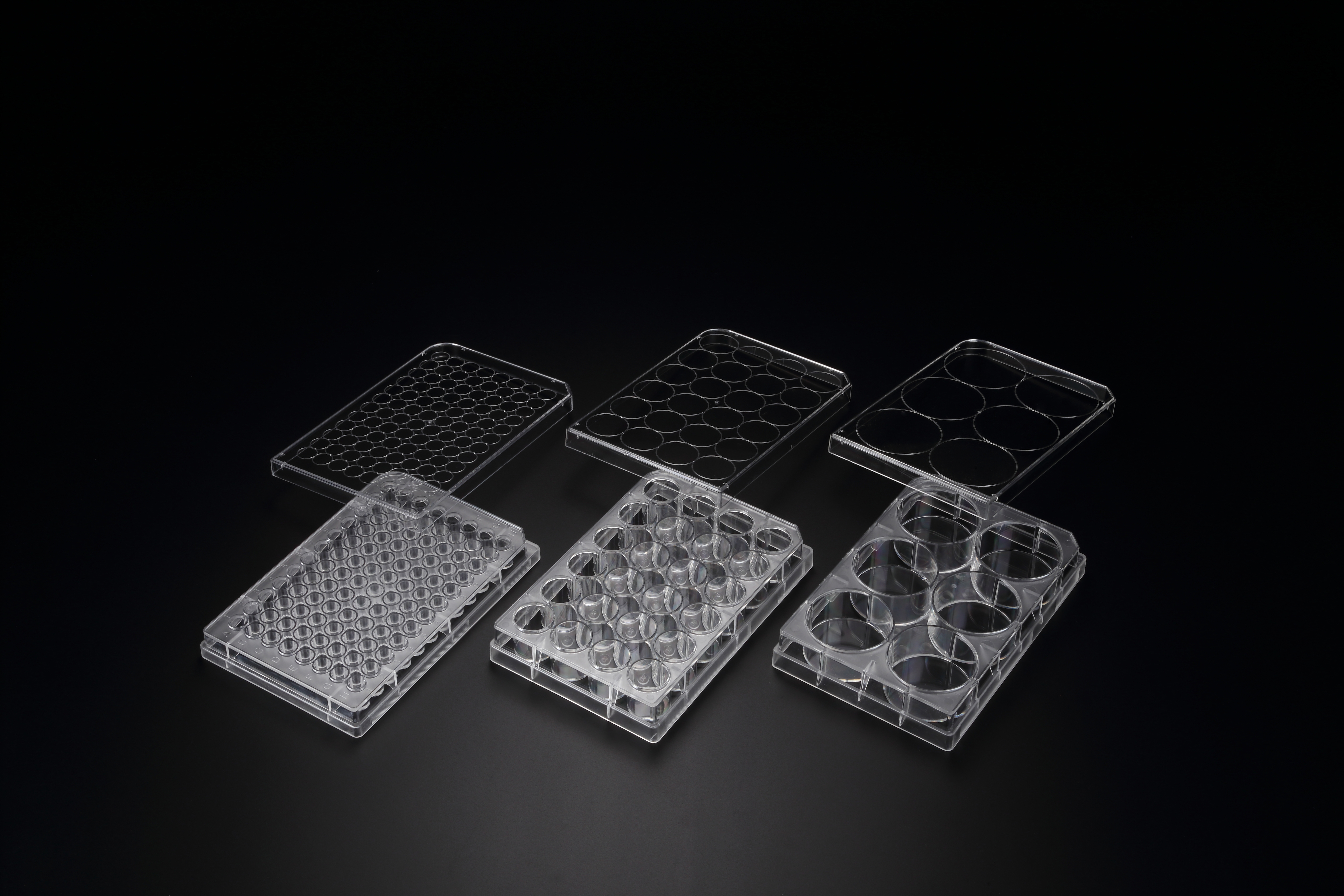 SPL Cell Floater 多孔培養板原廠照片